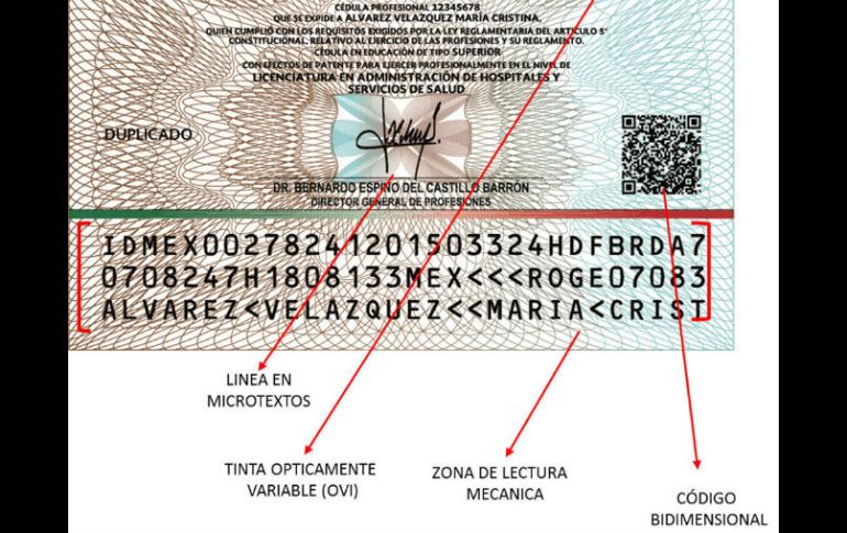 Contiene grabado en alto y bajo relieve horizontal, de acuerdo a estándares internacionales para identificaciones oficiales. NTX / ESPECIAL