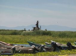 Una de las primeras estrategias de la nueva administración municipal será el combate a la maleza del lago. EL INFORMADOR / F. Atilano