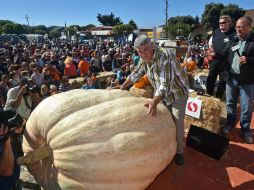 La calabaza de Steve Daletas, obtuvo el título de la más regordeta en la competencia realizada en la Bahía de San Francisco. AFP / J. Edelson