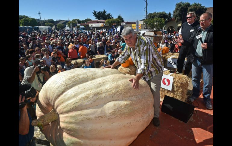 La calabaza de Steve Daletas, obtuvo el título de la más regordeta en la competencia realizada en la Bahía de San Francisco. AFP / J. Edelson