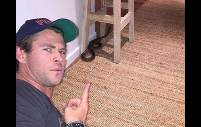 Rápidamente la cuenta del actor fue seguida por miles de fans. INSTAGRAM / @chrishemsworth