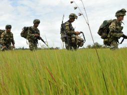 Las FARC planea crear una unidad especializada que se abocará a esta tarea. AFP / ARCHIVO