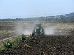 Para el 2015 se logró asegurar cerca de 10 millones de hectáreas de pequeños productores. EL INFORMADOR / ARCHIVO