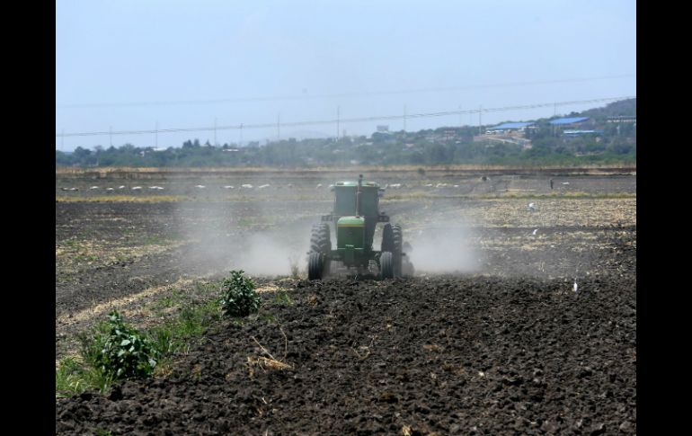 Para el 2015 se logró asegurar cerca de 10 millones de hectáreas de pequeños productores. EL INFORMADOR / ARCHIVO