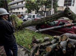 Guadalajara reporta saldo blanco tras la lluvia ocasionada por 'Patricia', no obstante, hay algunos daños materiales. EL INFORMADOR / R. Tamayo