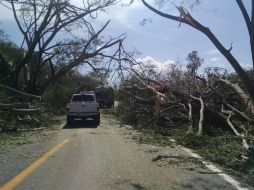 Peña Nieto estará este sábado en Colima, supervisando los trabajos en zonas afectadas. EL INFORMADOR / M. Vargas