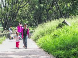 La maleza y el abandono caracterizan al parque El Deán, el cual se inunda en tiempo de lluvias. EL INFORMADOR / R. Tamayo