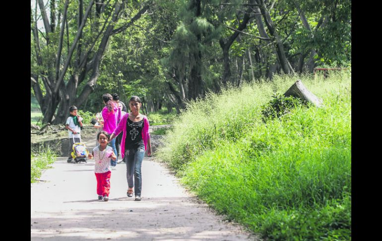 La maleza y el abandono caracterizan al parque El Deán, el cual se inunda en tiempo de lluvias. EL INFORMADOR / R. Tamayo