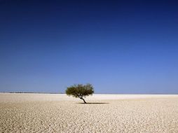 Si las emisiones de gases de efecto invernadero continúan, los científicos ponen en duda la ''habitabilidad humana'' en el futuro. EFE / ARCHIVO