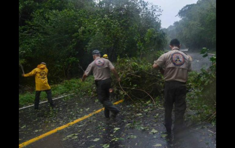 Personal de Protección Civil ya se encuentra trabajando en la zona afectada. TWITTER / @AristotelesSD