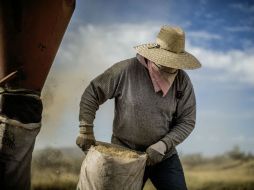 Hacen un llamado a los legisladores del sector agrario a empujar un proyecto común. EL INFORMADOR / ARCHIVO