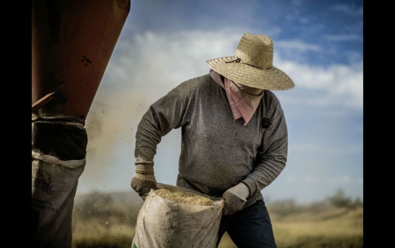 Hacen un llamado a los legisladores del sector agrario a empujar un proyecto común. EL INFORMADOR / ARCHIVO