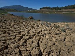 Intercambio de ideas para generar políticas públicas contra los efectos del cambio climático, el objetivo.  /