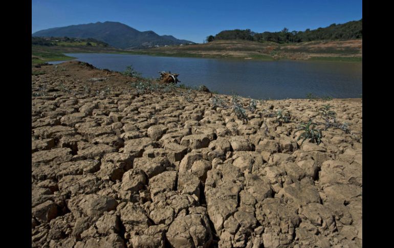 Intercambio de ideas para generar políticas públicas contra los efectos del cambio climático, el objetivo.  /