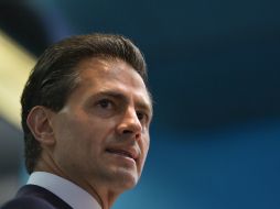 Destacan también que las reformas impulsadas por Peña Nieto fomentan el crecimiento económico con efectividad. AFP / ARCHIVO