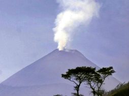 En febrero, el volcán de Fuego registró una potente erupción. AFP / ARCHIVO