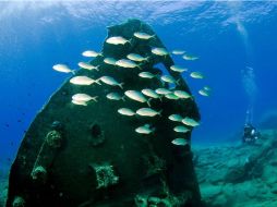 El lugar fue encontrado gracias a información de pescadores locales y fuentes históricas. EL INFORMADOR / ARCHIVO