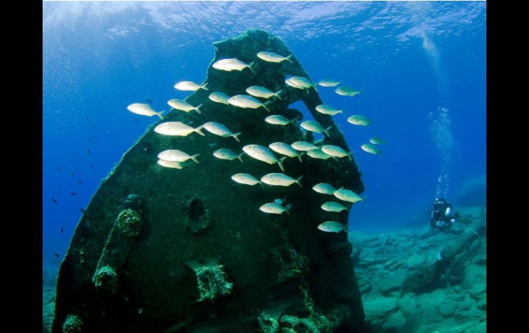 El lugar fue encontrado gracias a información de pescadores locales y fuentes históricas. EL INFORMADOR / ARCHIVO