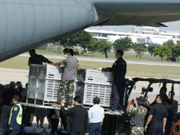 Indonesia envia un avión de la Fuerza Aérea para trasladar a los simios, cada uno en una jaula de metal, en un vuelo de cinco horas. EFE / N. Sangnak