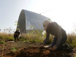 Entre los pincipales beneficios destaca la captura de carbono, el cuidado del agua y la restauración del bosque. EL INFORMADOR / ARCHIVO