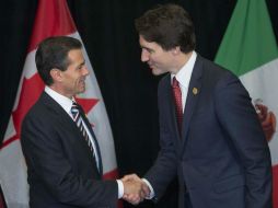 Es la primera vez que Justin Trudeau se reúne con un jefe de Estado desde su elección. NTX / CORTESÍA