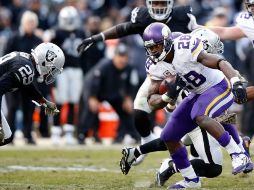 Adrian Peterson aportó 203 yardas y una anotación. AFP / E. Shaw