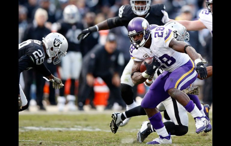 Adrian Peterson aportó 203 yardas y una anotación. AFP / E. Shaw