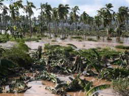 El cambio climático potencia los fenómenos naturales, como pasó con el huracán Patricia. EL INFORMADOR / M. Vargas