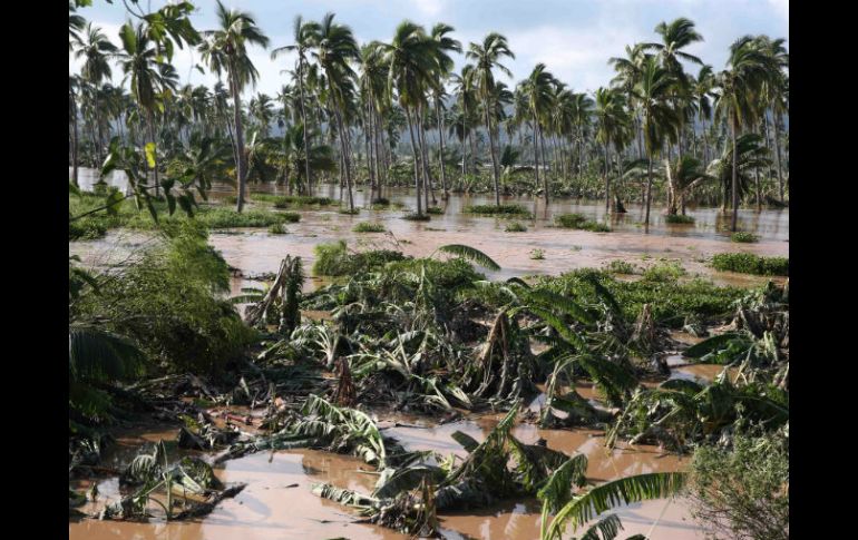 El cambio climático potencia los fenómenos naturales, como pasó con el huracán Patricia. EL INFORMADOR / M. Vargas