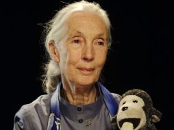 Embajadora de la paz. Jane Goodall pide a la humanidad tomar conciencia de la amenaza que representa el cambio climático. AP / ARCHIVO