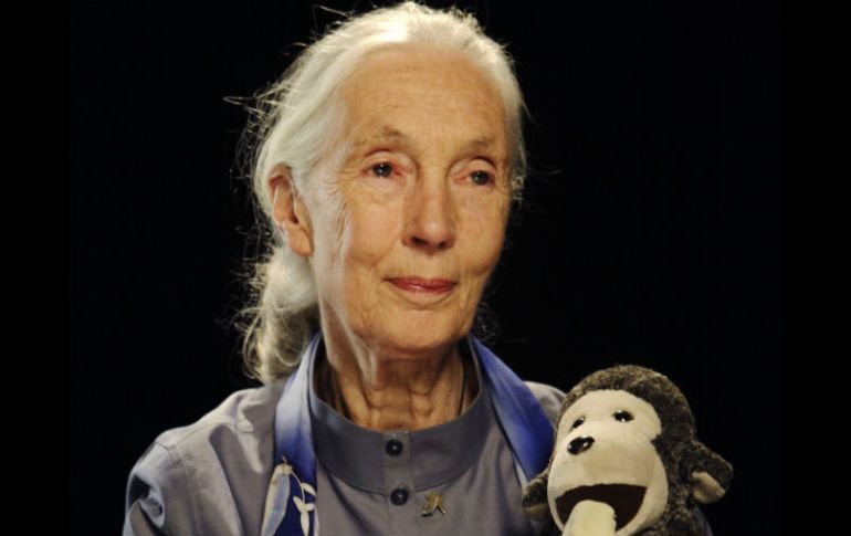 Embajadora de la paz. Jane Goodall pide a la humanidad tomar conciencia de la amenaza que representa el cambio climático. AP / ARCHIVO