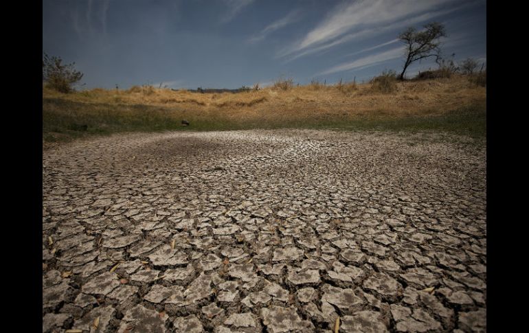 Los Altos de Jalisco vivieron los estragos de la modificación del clima con la sequía en 2011. EL INFORMADOR / ARCHIVO