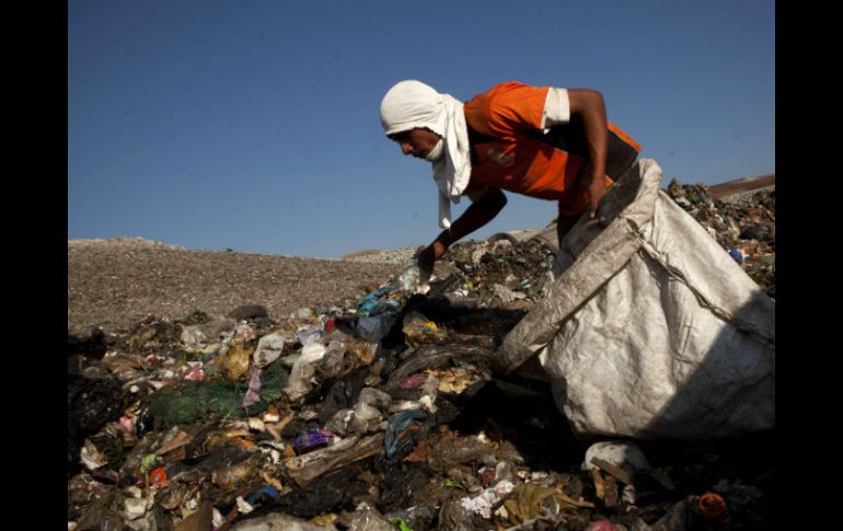 En cuatro años, 46 ayuntamientos locales sumaron multas por violaciones a normativa ambiental. EL INFORMADOR / ARCHIVO