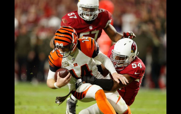 Andy Dalton es tacleado por la defensiva de Arizona. El QB de Cincinnati completó 22 pases en 39 intentos. AFP / C. Petersen