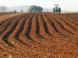 Las sequías y tormentas que afectan la agricultura han aumentado en frecuencia y gravedad en las últimas tres décadas. EL INFORMADOR / ARCHIVO