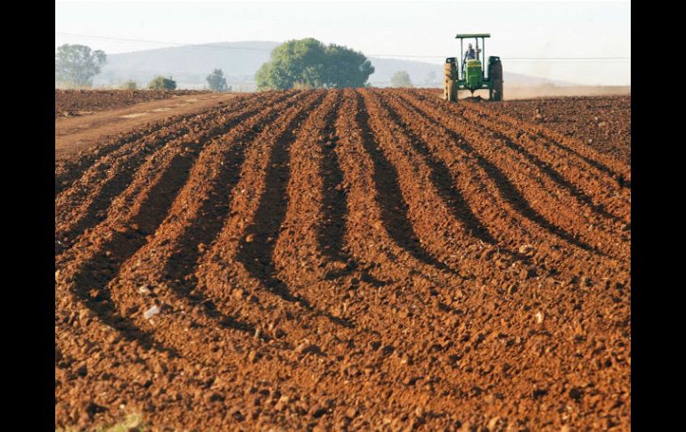 Las sequías y tormentas que afectan la agricultura han aumentado en frecuencia y gravedad en las últimas tres décadas. EL INFORMADOR / ARCHIVO