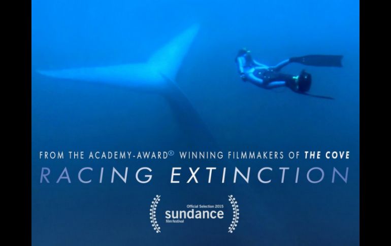 El documental se estrena este miércoles a las 21:00 horas en más de 220 países. TWITTER / @RacingXtinction