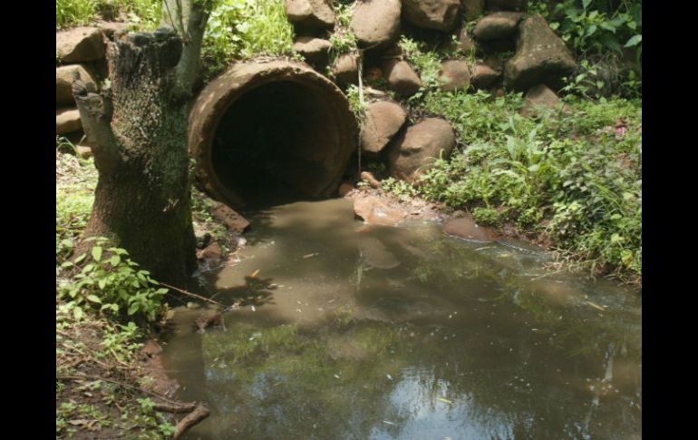 Las empresas son responsables de descarga de contaminantes y de manejo inadecuado de residuos peligrosos. EL INFORMADOR / ARCHIVO