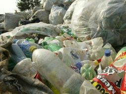 Piden a la sociedad comprar empaques biodegradables, que se destruyen más rápido y evitan invadir los suelos. EL INFORMADOR / ARCHIVO