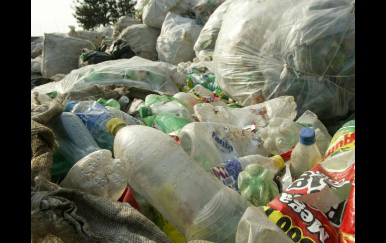 Piden a la sociedad comprar empaques biodegradables, que se destruyen más rápido y evitan invadir los suelos. EL INFORMADOR / ARCHIVO