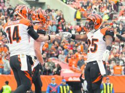 Andy Dalton celebra con Giovani Bernard el primer touchdown de los Bengals en el encuentro del domingo pasado ante los Browns. AFP / G. Shamus