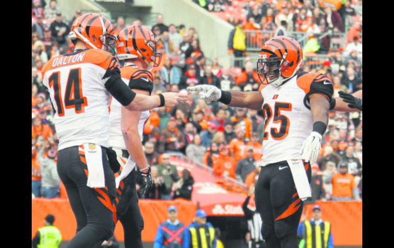 Andy Dalton celebra con Giovani Bernard el primer touchdown de los Bengals en el encuentro del domingo pasado ante los Browns. AFP / G. Shamus