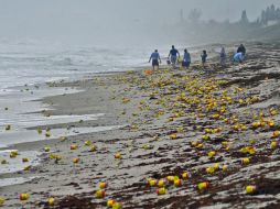 Los guardacostas instaron a la población a que no recojan envases abiertos en el agua. AP / T. Shortt