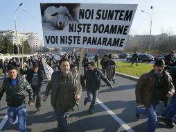 Las autoridades argumentan que los perros pastores son agresivos y que la prohibición ayuda al medio ambiente. EFE / R. Ghement