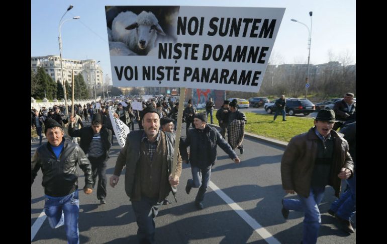 Las autoridades argumentan que los perros pastores son agresivos y que la prohibición ayuda al medio ambiente. EFE / R. Ghement