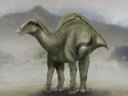 Se cree que el 'Morelladon Beltrani' tuvo esta apariencia, se espera que aparezcan nuevas especies de dinosaurios. ESPECIAL /