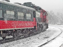 La nevada afectó a municipios como Casas Grandes, Galeana y Gómez Farías, entre otros. TWITTER / @GobiernoEdoChih