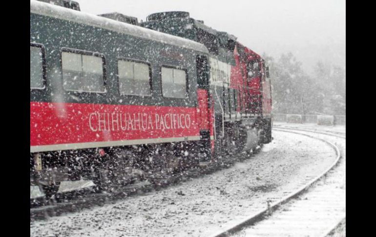 La nevada afectó a municipios como Casas Grandes, Galeana y Gómez Farías, entre otros. TWITTER / @GobiernoEdoChih