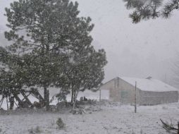 Casi la mitad del estado de Chihuahua se cubre de blanco la madrugada de este domingo al presentarse nevadas en 30 municipios. NTX / ARCHIVO