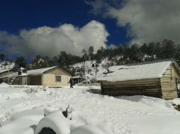 El Instituto indica que continuarán las nevadas en BC, Sonora, Nuevo León, Chihuahua, Zacatecas y Durango. NTX / ARCHIVO